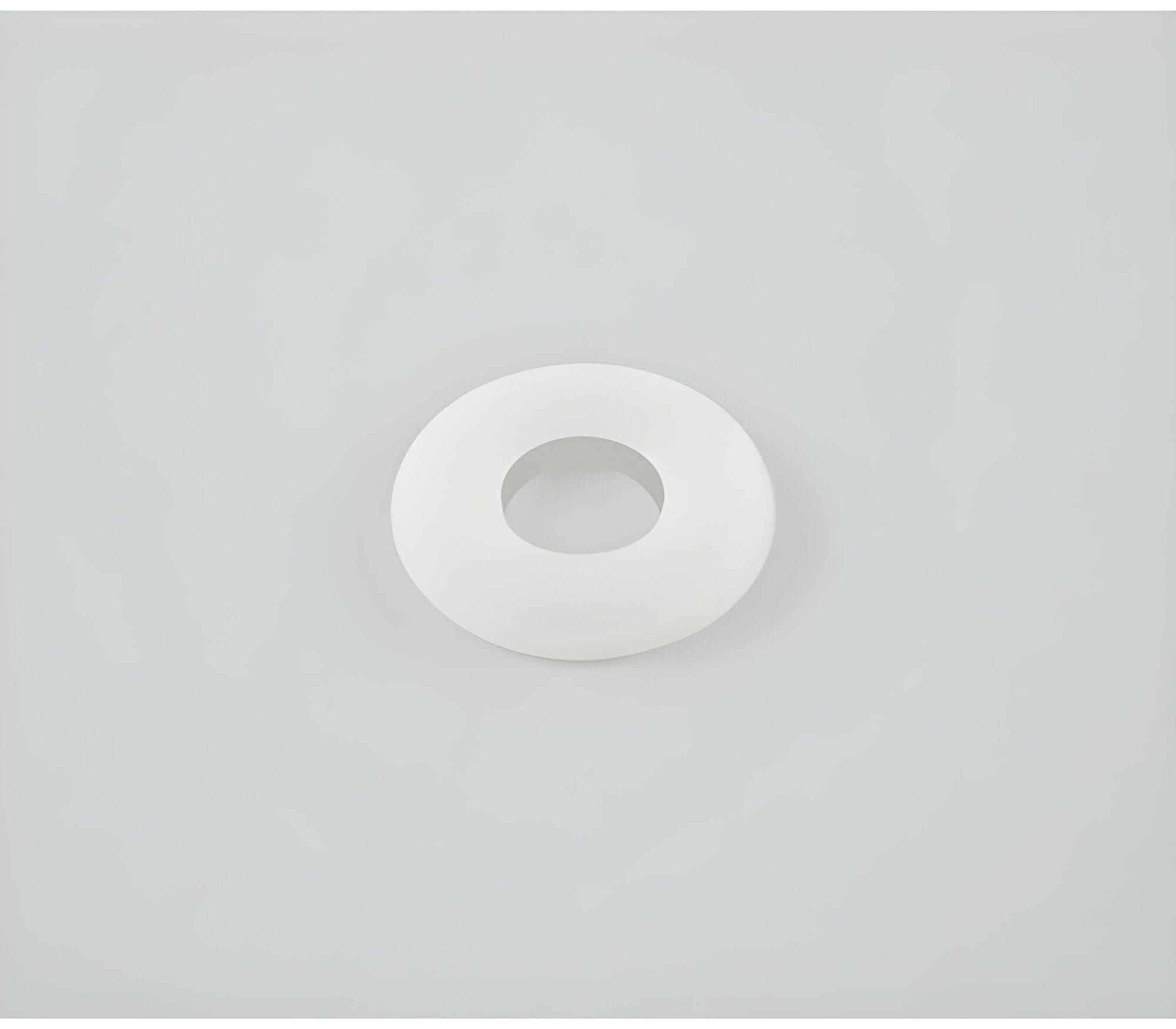 Joint blanc épaisseur 1.6 mm pour buse plate GRACO