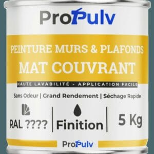 Peinture Acrylique Murs & Plafonds – Propulv (Mat Couvrant) – Intérieur