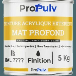 Peinture Acrylique Façade & Ravalement – Propulv (Mat Profond) – Extérieur